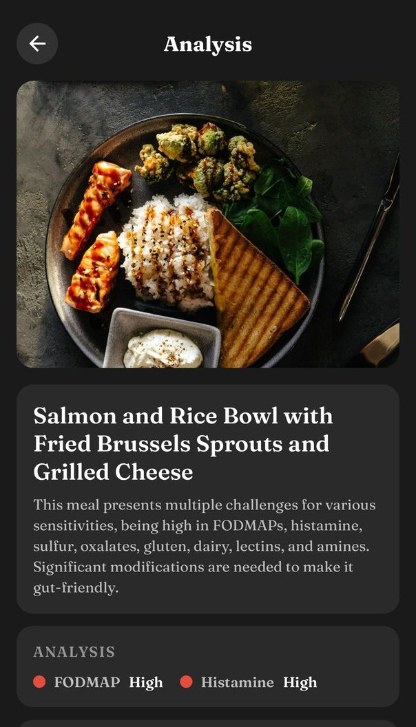 A meal photographed and analysed, with its name and flags